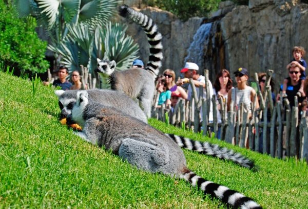 Парк в Валенсии Биопарк