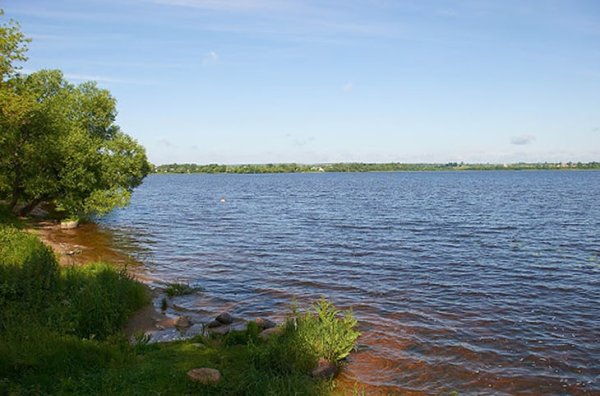 Озеро оконо Витебская область