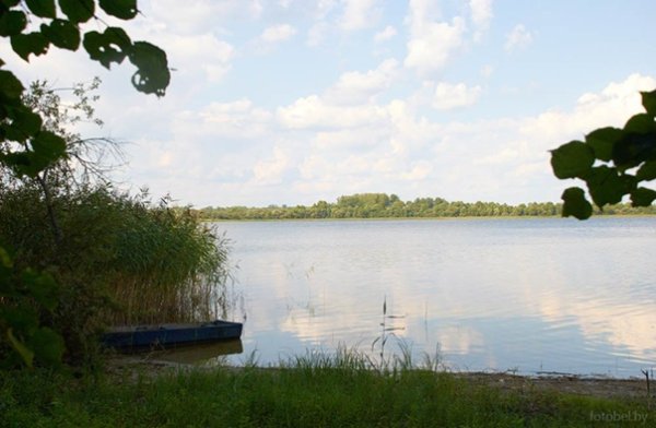 Озеро Теменица Лепельский район