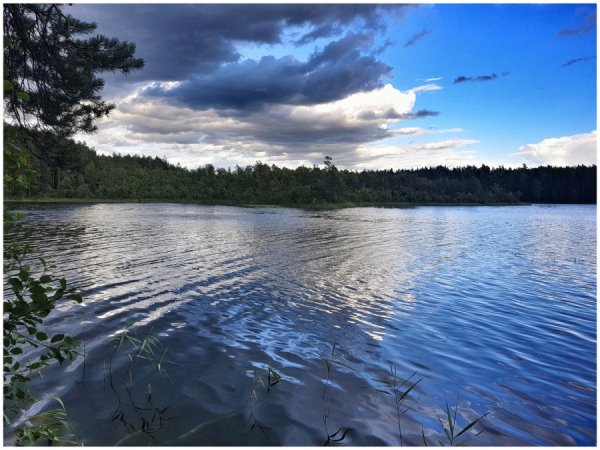 Бор Лепельского района