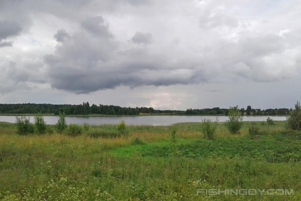 Озеро красный куст