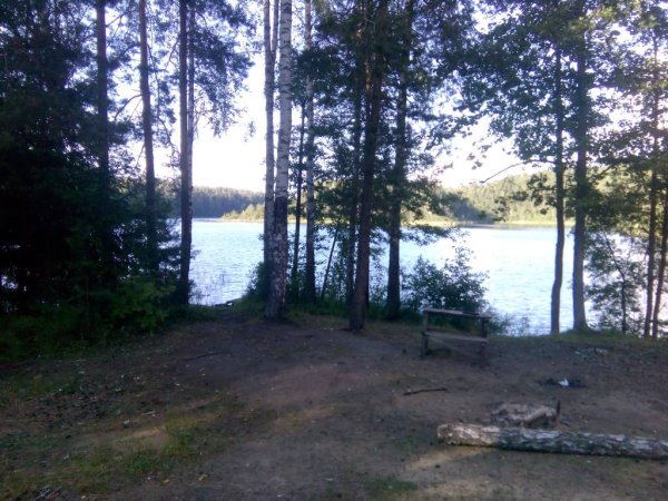 Бобрица озеро Лепельский