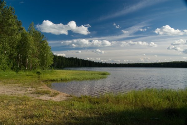 Озеро оконо Витебская область