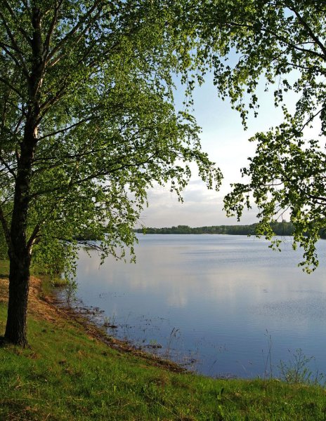 Озеро Лепельское Беларусь