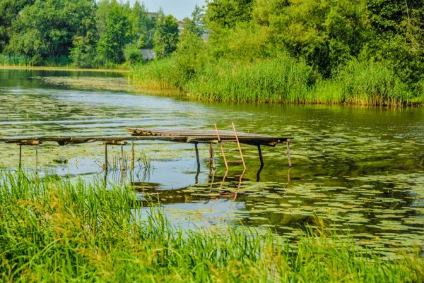 Лепельская Республика