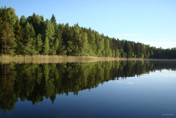 Заровье Лепельский район