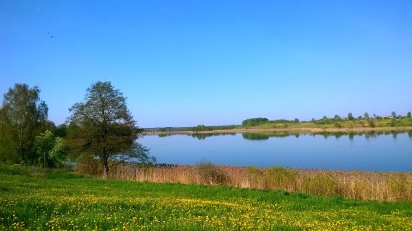 Озеро большие Окуничи Лепельский район