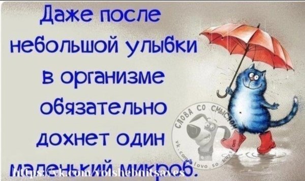 Позитивные фразы для поднятия настроения