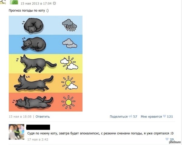 Как понять погоду по коту