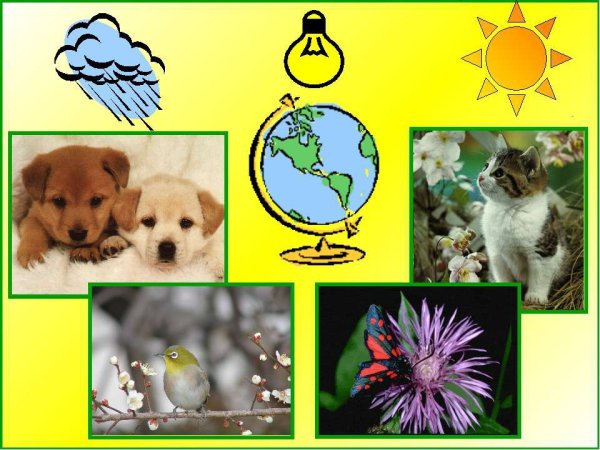 Животные барометры природы