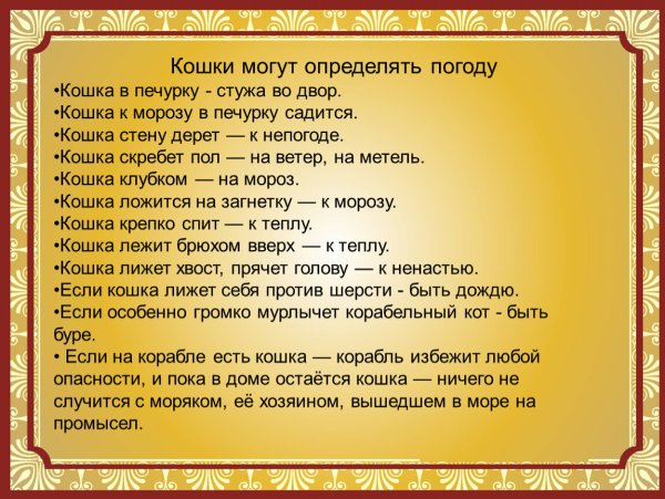 Приметы по кошкам о погоде