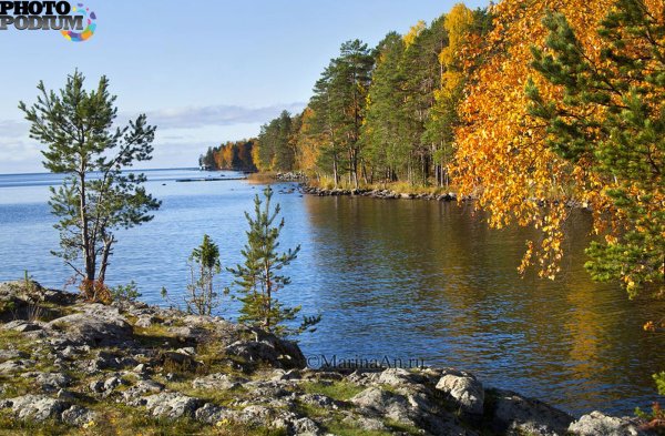 Озеро Лососинное Карелия