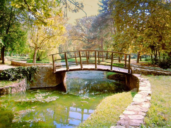 Кольцов парк пруд мостик