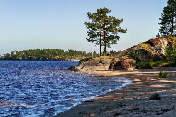 Ладога Видлица