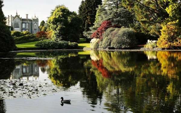 Пейзажный пруд