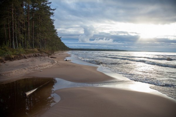 Берег Онежского озера, Карелия