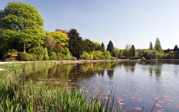 Парк с прудом