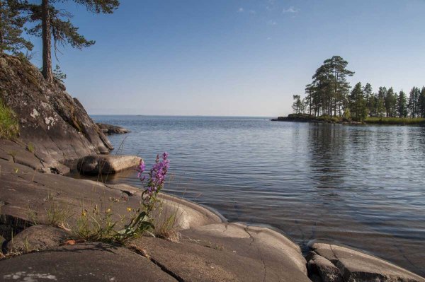 Берег Онежского озера, Карелия