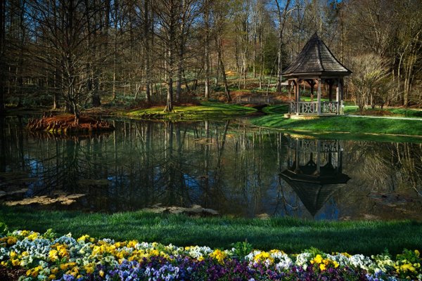 Пруд с утками беседка парк Кузьминки