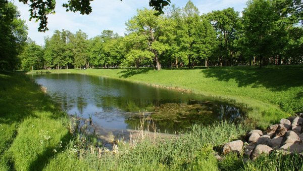 Парк долгие пруды Долгопрудный