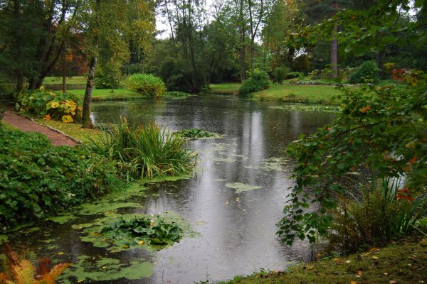 Водоемы в парках