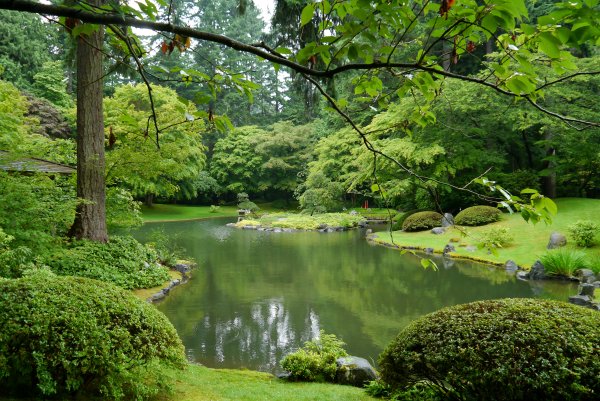 Канада парки пруд