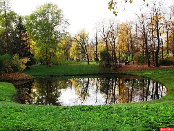 Серебряный пруд в Лесном Петербург
