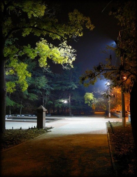 Ночной парк СПБ