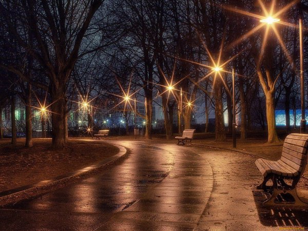 Парк ночью