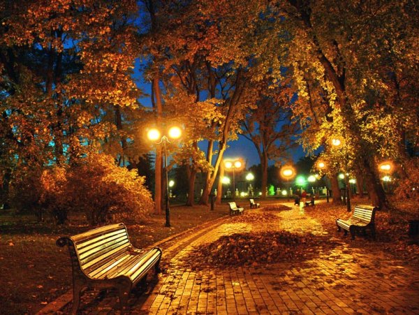 Осень вечер