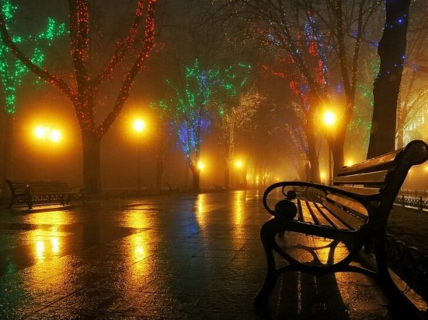 Ночная аллея с фонарями