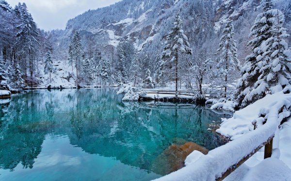 Горный Алтай. Природа. Зима. Катунь