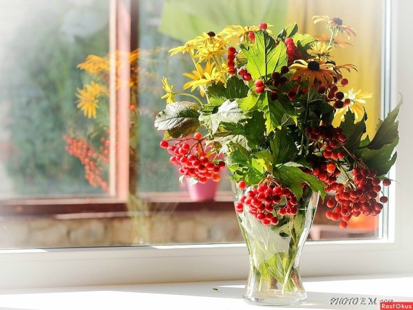 Доброго осеннего утра и хорошего дня