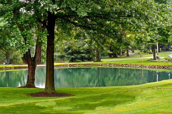 Пруд в парке