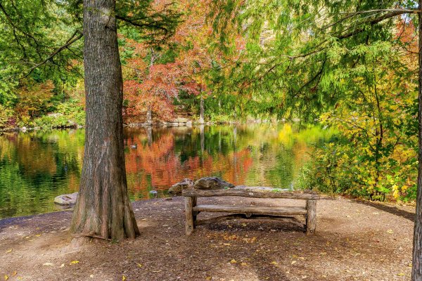 Осень парк лавочка озеро