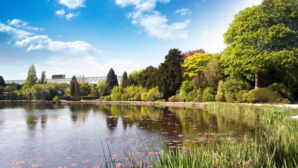 Озеро в парке