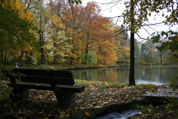 ЦПКИО им Кирова Санкт-Петербург пруды осень