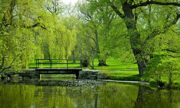 Парк с прудом