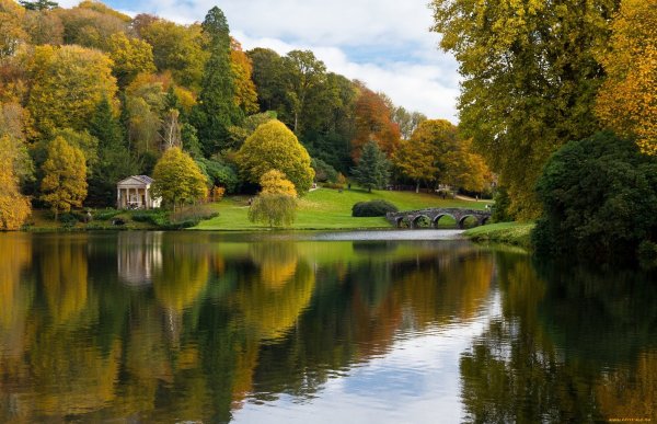 Живописный пруд