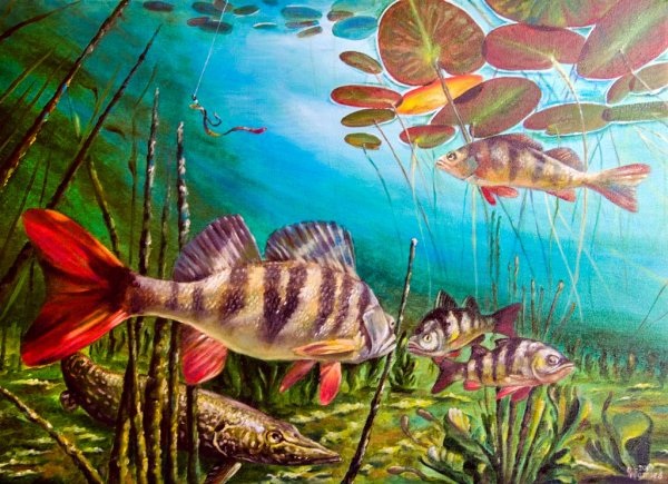 Рыбы в реке живопись