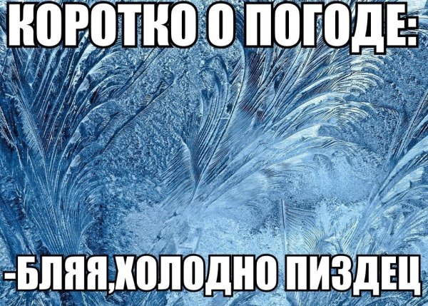 Приколы про морозную погоду