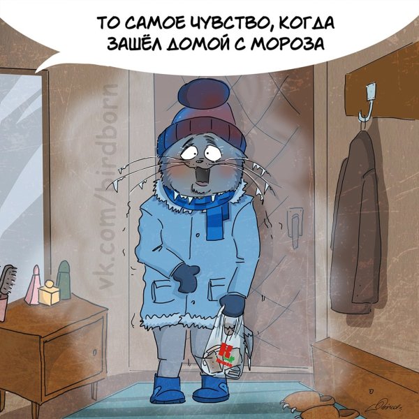 Приколы про Мороз