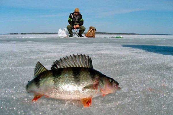 Подледная рыбалка на озере