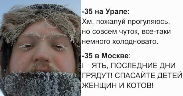 Холода в России приколы