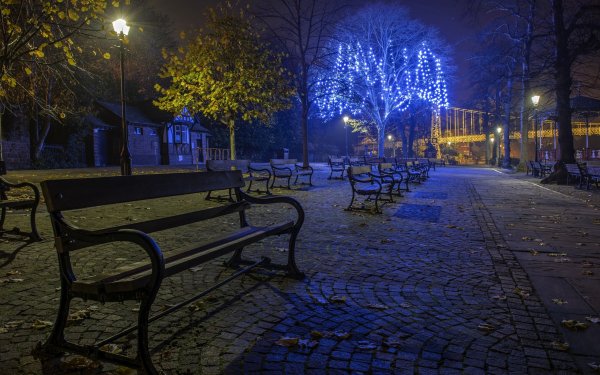 Ночной город Симферополь скамейки парк