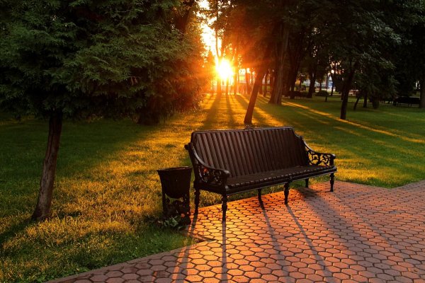 Скамейка в парке