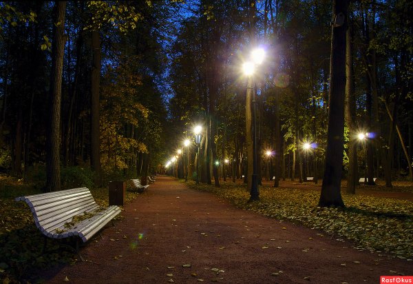 Нескучный сад ночью