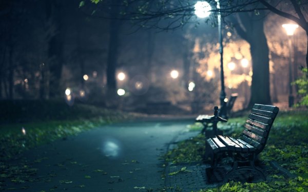 Ночной парк с фонарями