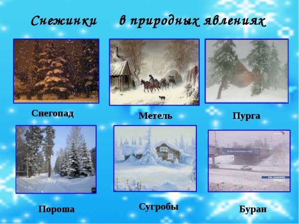 Зимние явления природы для дошкольников