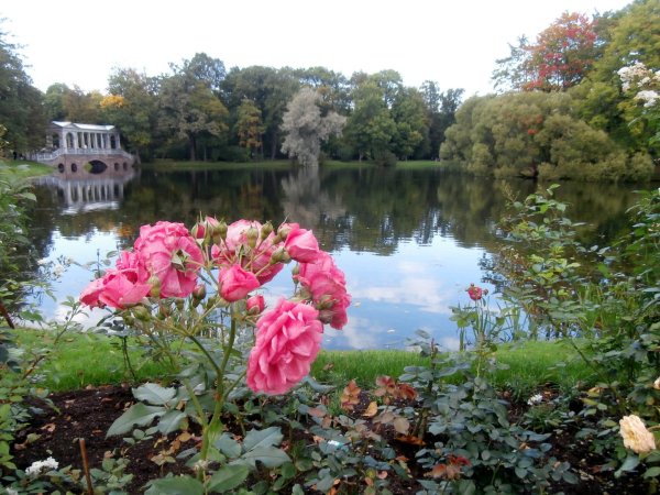 Розовый сад в Екатерининском парке